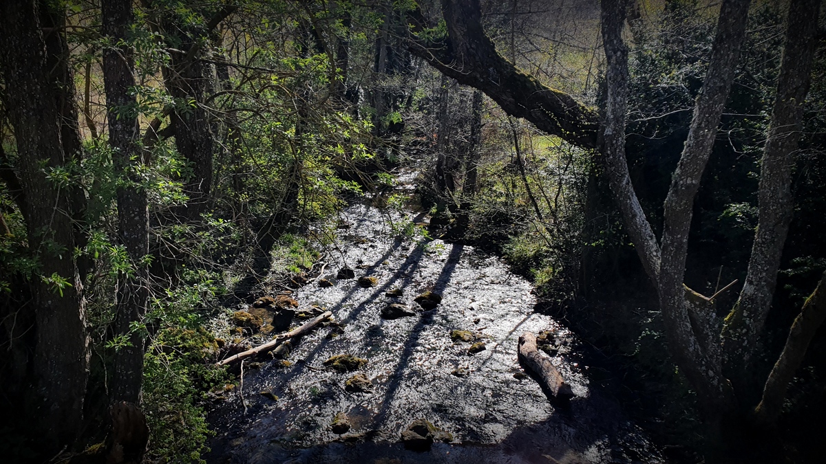 Muela (Izki, 1055m) - 01