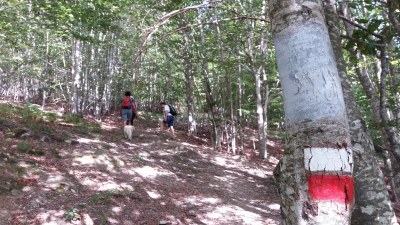 2019-09-13_kartxela (2).jpg 2019-09-13_kartxela (2).jpg