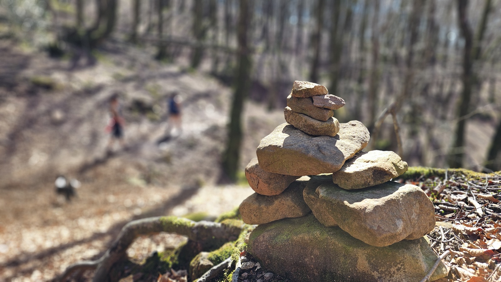 Abraku mendia (Banka) 05