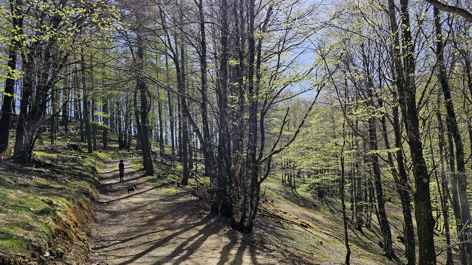 Adi, Erroibar (1.457 m) - 01