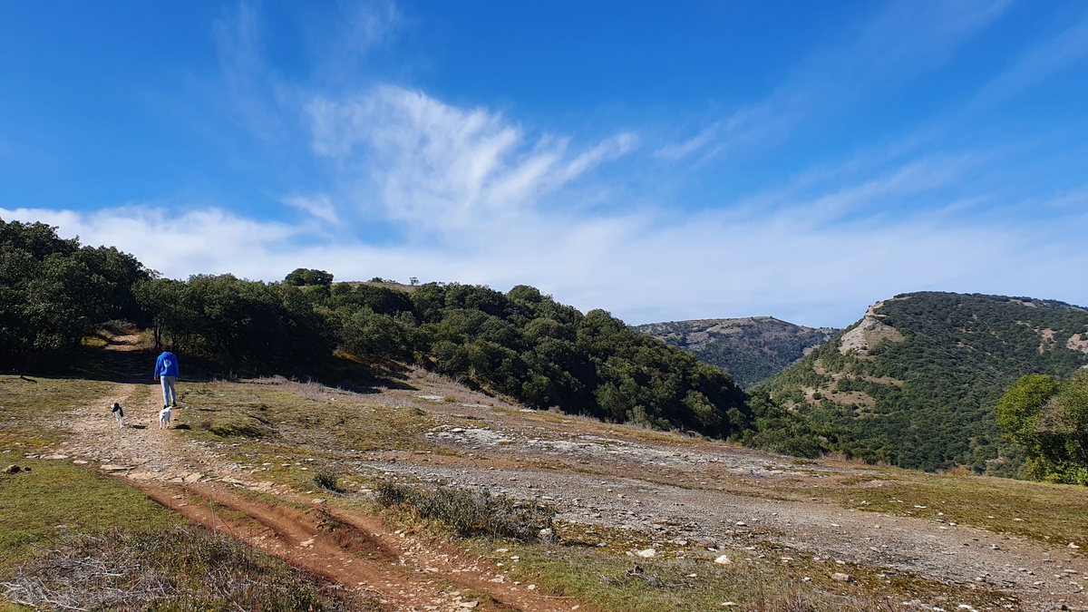 Amaritu (Araba) - 02