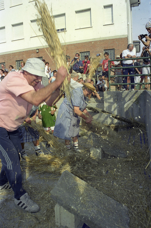 Gari-jotea Antzuolan (2003), garia txanketian jotzen