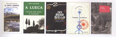 Literatura aragoieraz Literatura aragoieraz