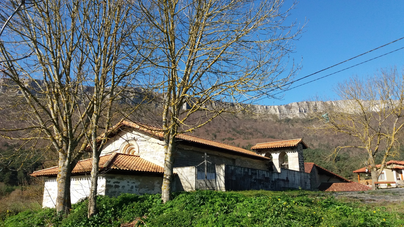 Arkamu mendilerroa, Araba (Repico, Coronas, Peña Colorada) - 01