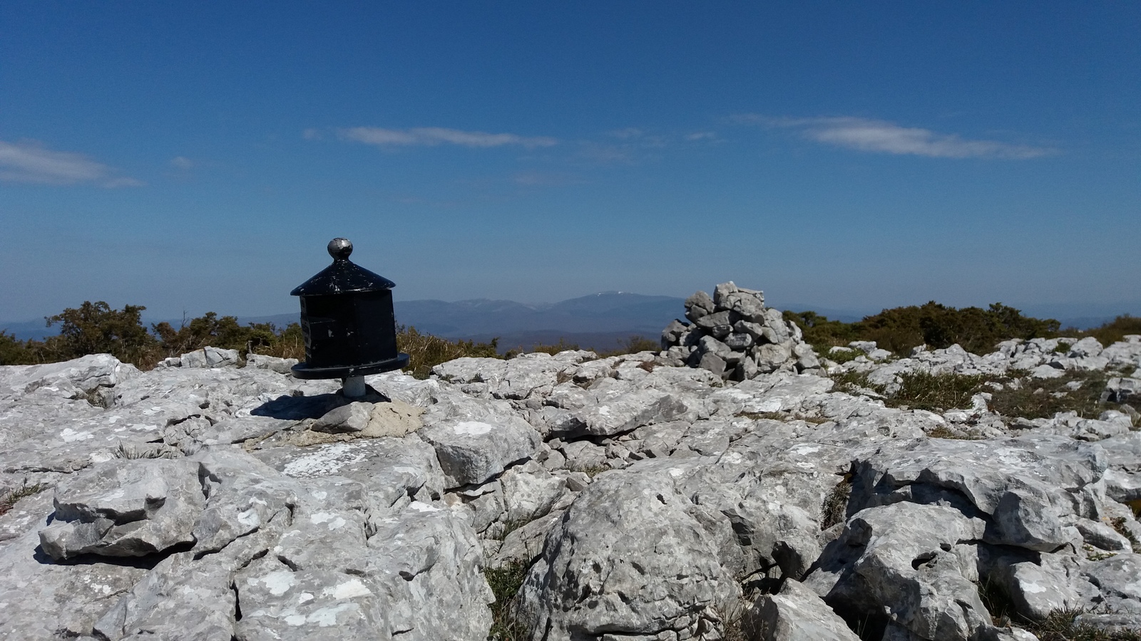 Arkamu mendilerroa, Araba (Repico, Coronas, Peña Colorada) - 05