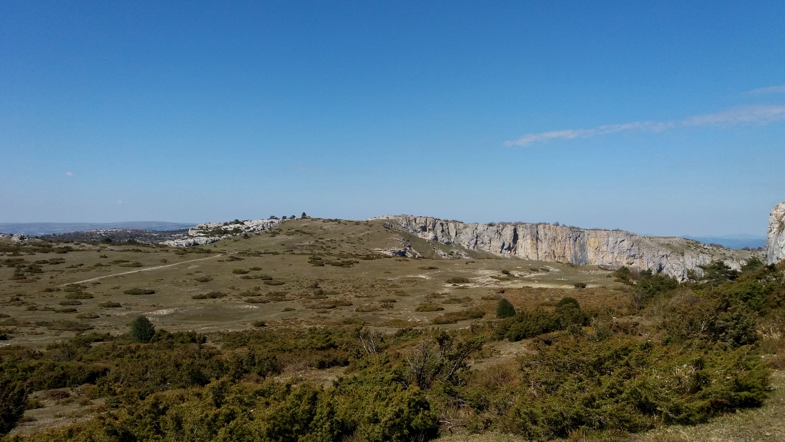 Arkamu mendilerroa, Araba (Repico, Coronas, Peña Colorada) - 06
