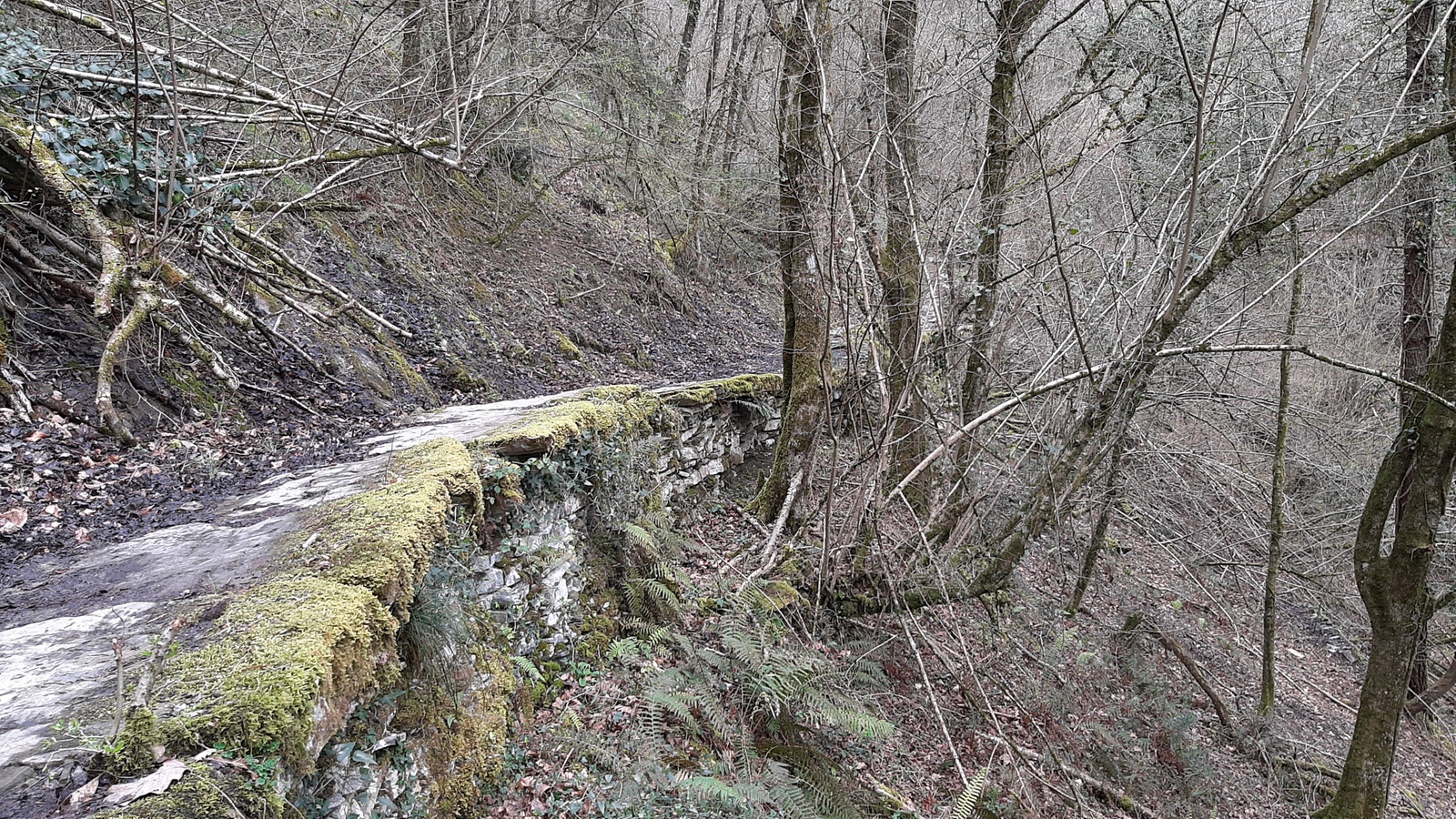 Arrajola - Sosola harbidea, Eibar