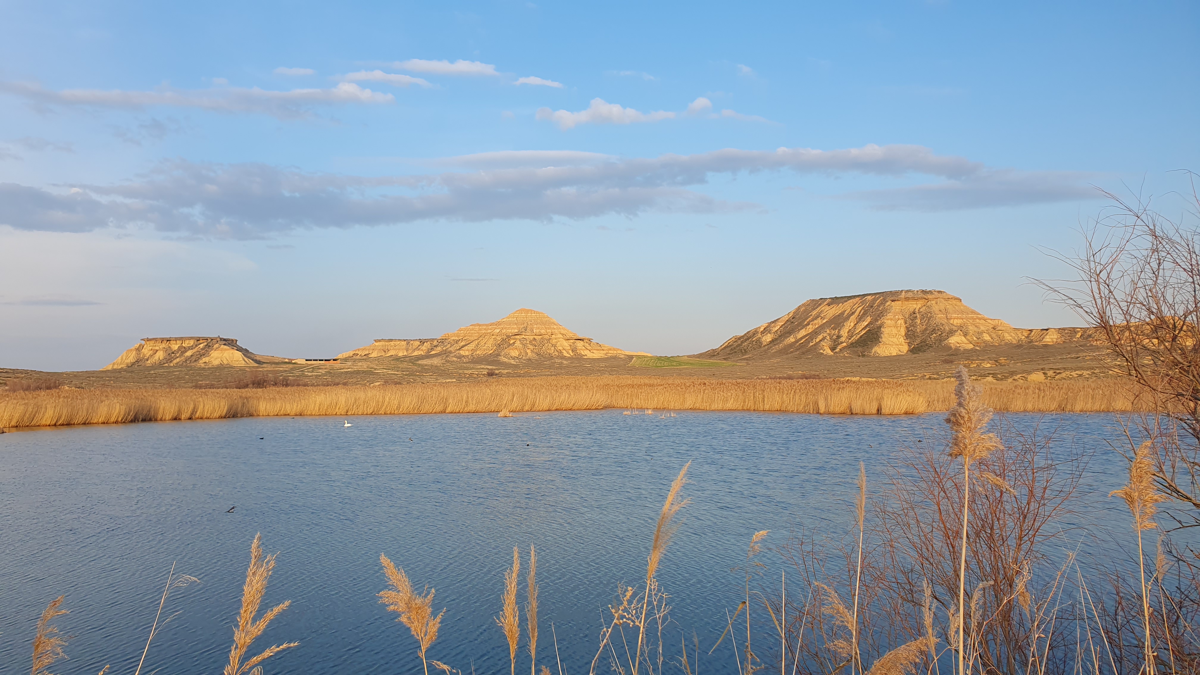 Balsa de las Cortinas, Bardeak
