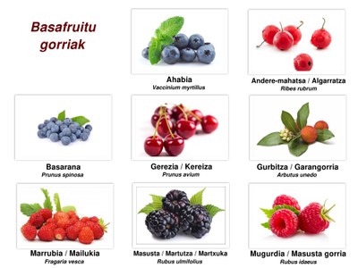 Basafruitu gorriak Basafruitu gorriak