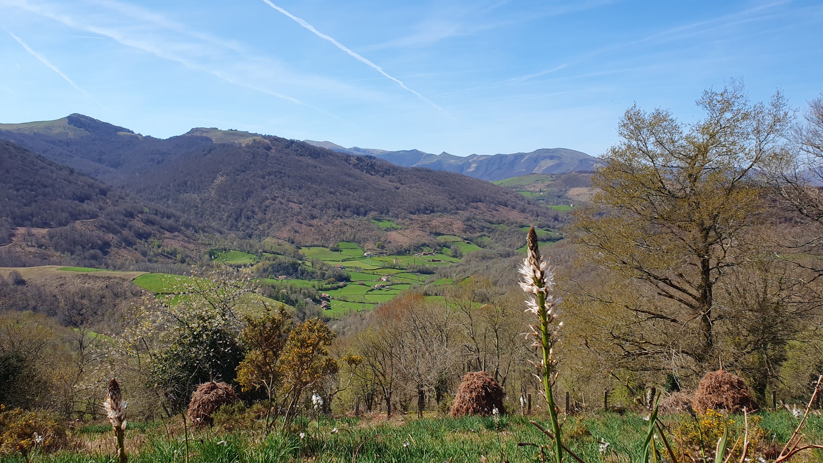 Beartzun auzoa (Elizondo)