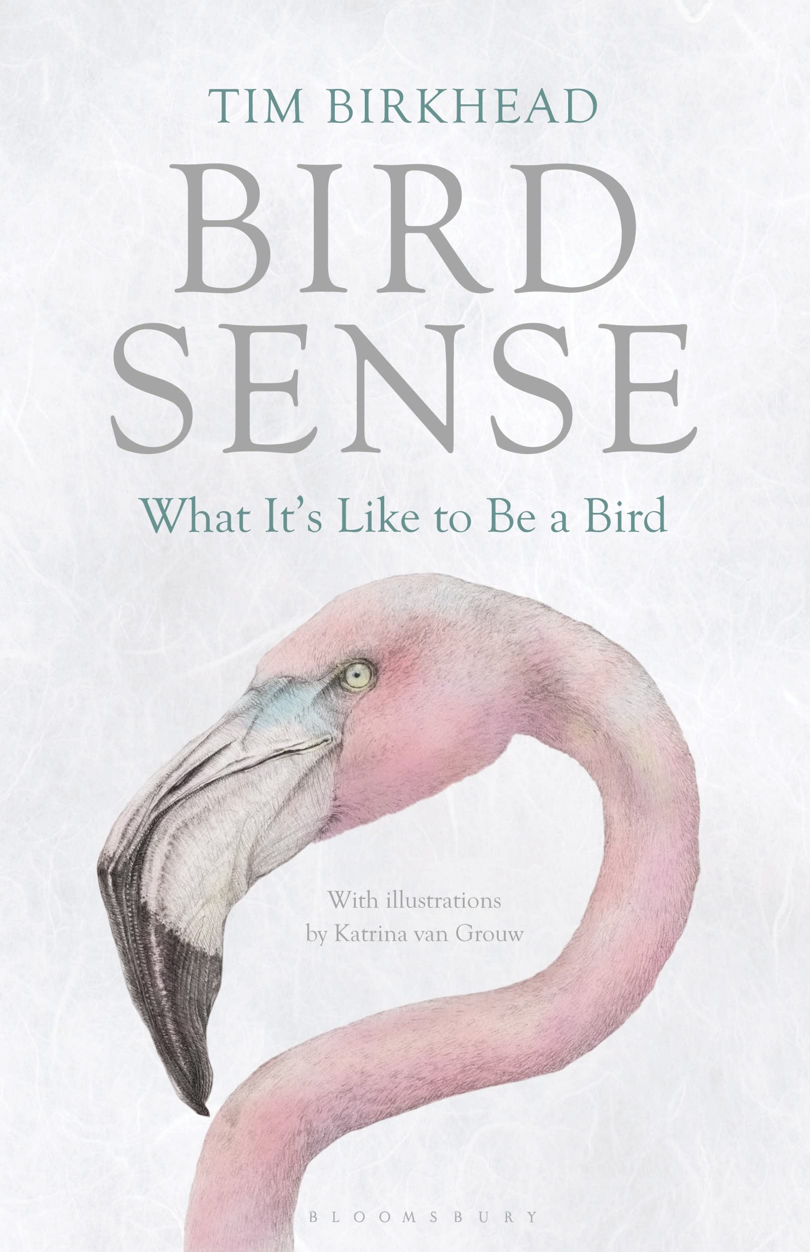 Birds sense, Tim Birkhead