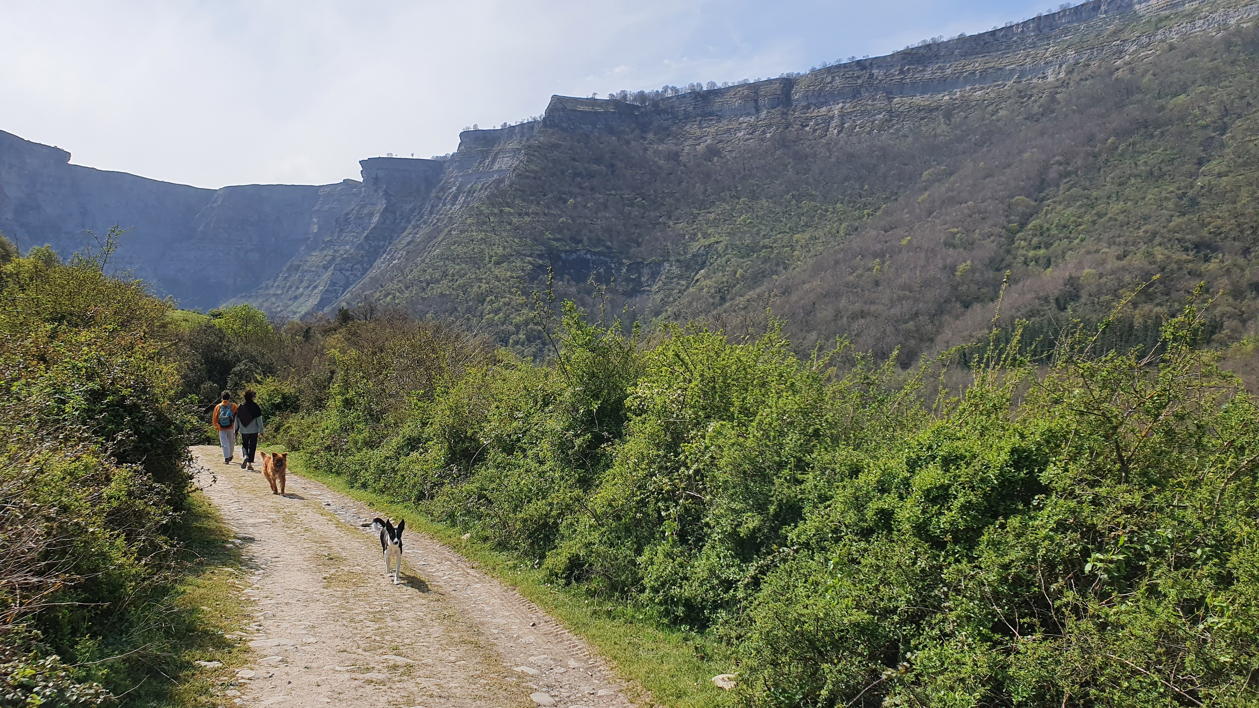 Delikako arroila - 02
