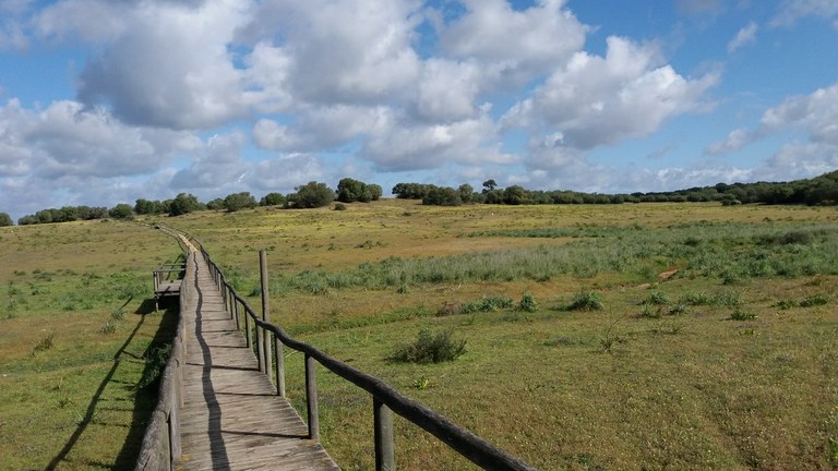 Doñanako parke naturala - 20 Doñanako parke naturala - 20