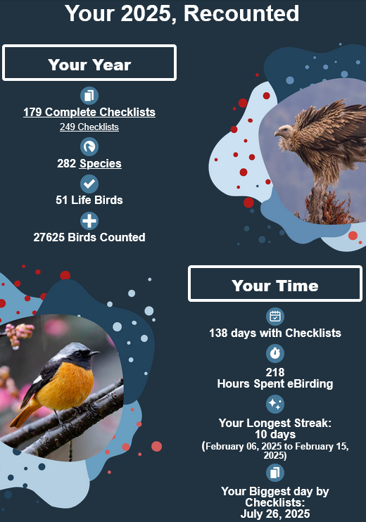 eBird, laburpena 2025 (01)