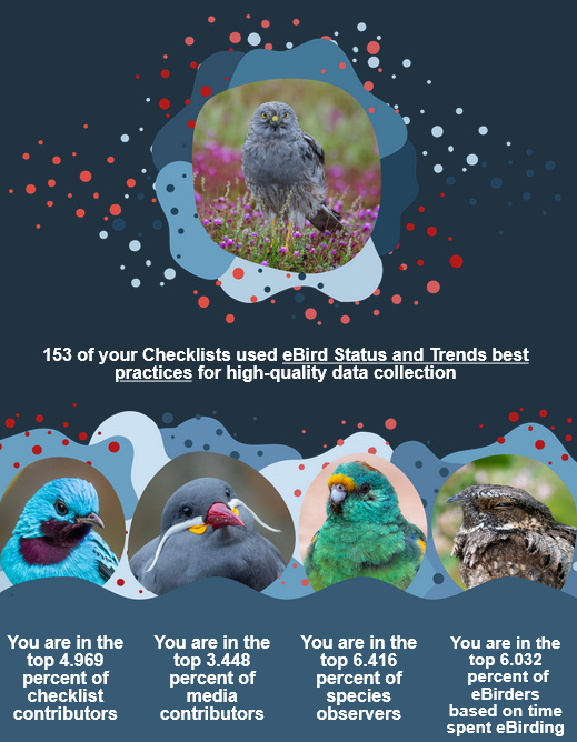 eBird, laburpena 2025 (02)