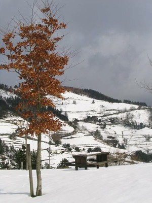 santakurutz_02.jpg santakurutz_02.jpg