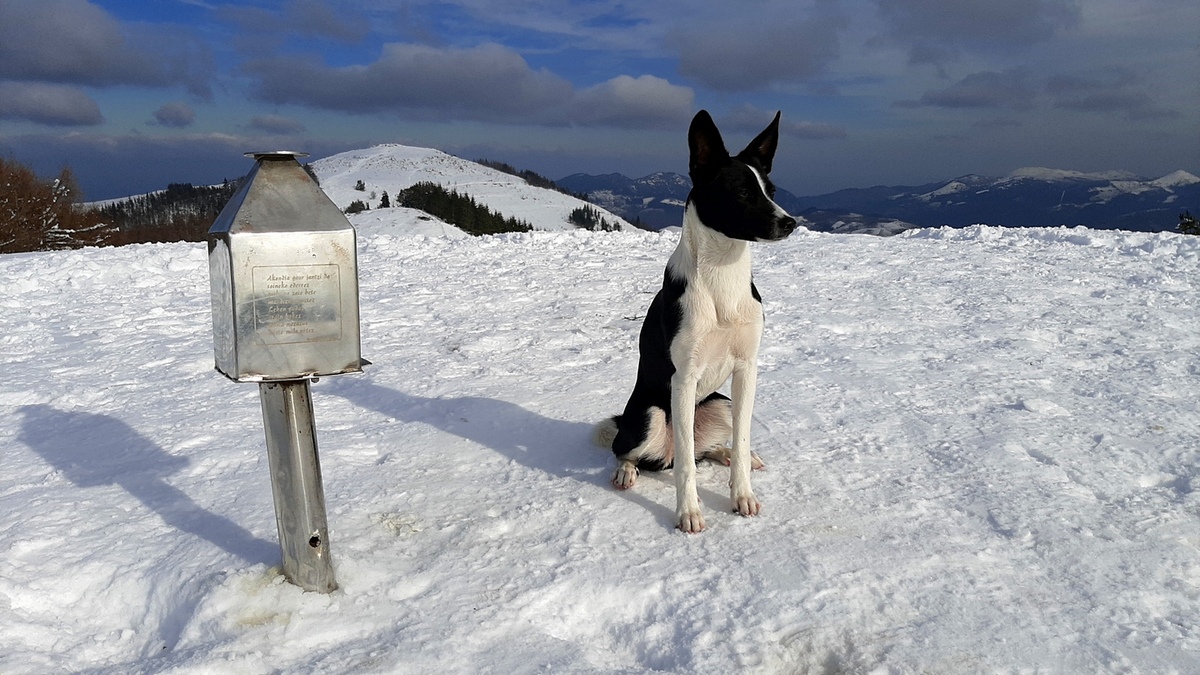 Eibarko mendiak erronka 18