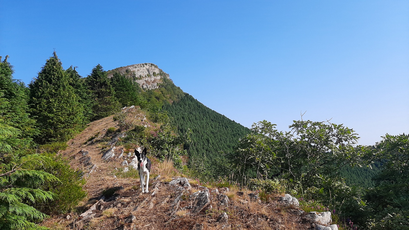 Eretza (Sodupe, 887 m) - Igoera