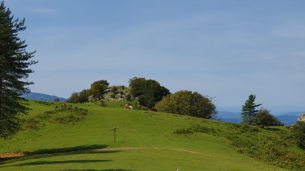 Errialtabaso, Urkiola (07)