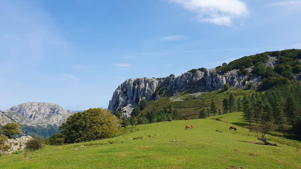 Errialtabaso, Urkiola (08)