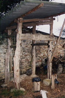 perratokia.jpg perratokia.jpg