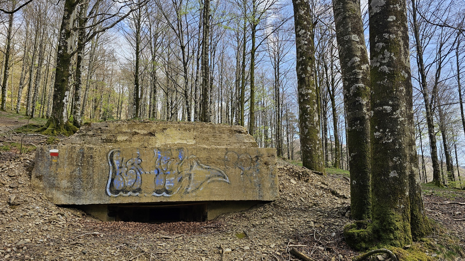 Gerrako bunkerrak, Kintoa (Nafarroa)