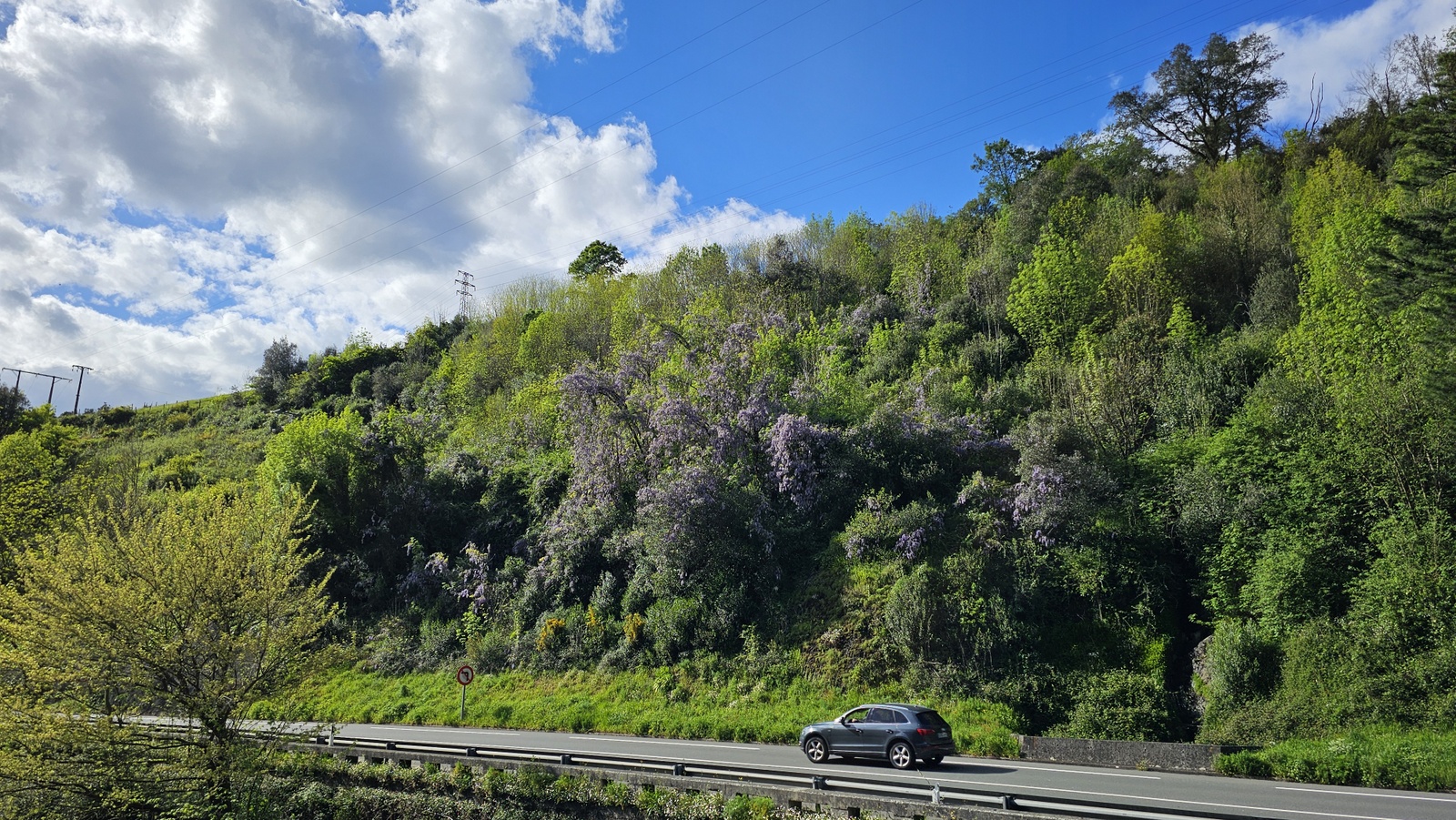 Glizinia (Apalategi, Eibar) - 07