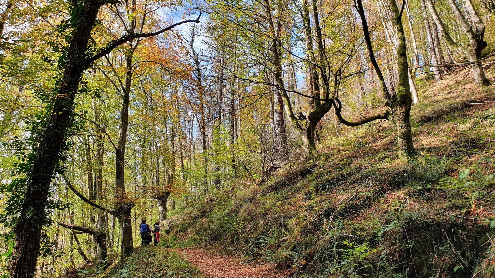 Gorosta Akondia Idotorbe Arizmendi Azitain 01