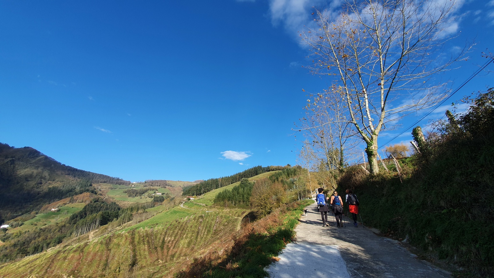 Gorosta Akondia Idotorbe Arizmendi Azitain 04