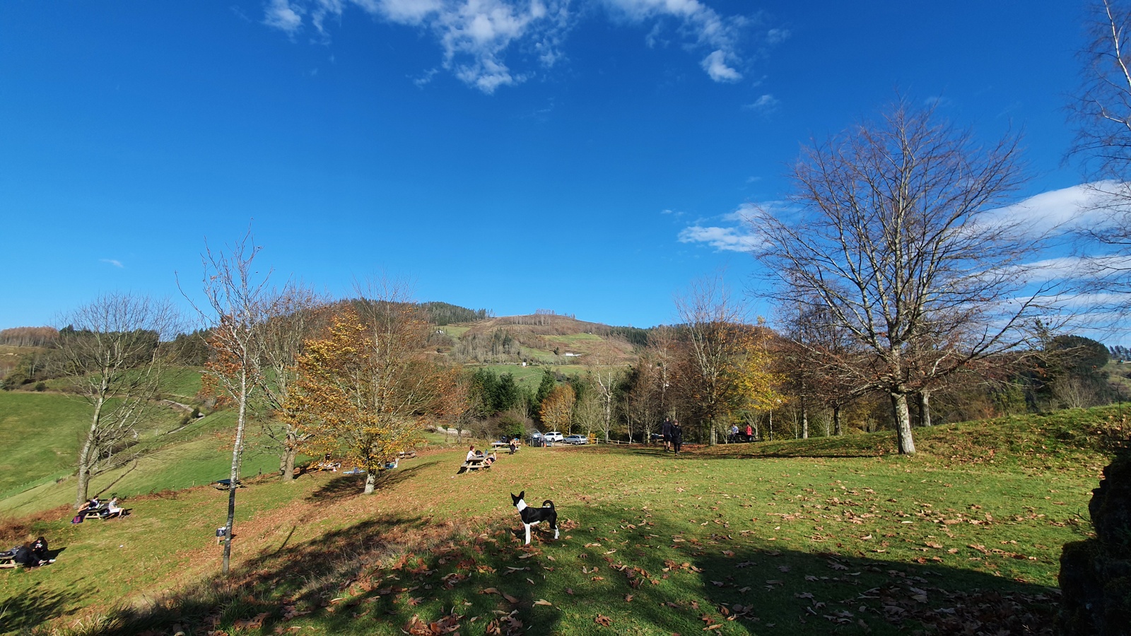 Gorosta Akondia Idotorbe Arizmendi Azitain 08