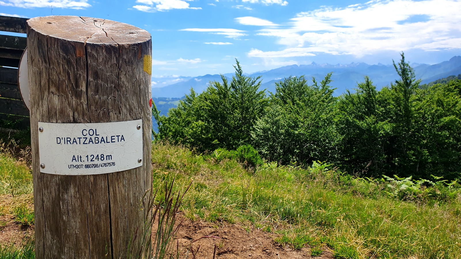 Harsudurra mendilerroa 02 - Iratzabaletako lepoa