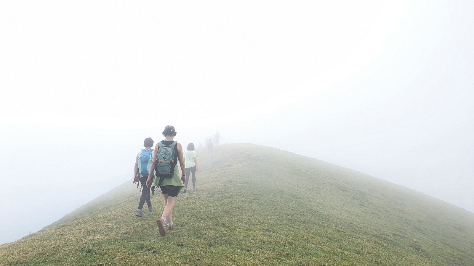 Harsudurra mendilerroa 20 - Mendibeltz lainopean