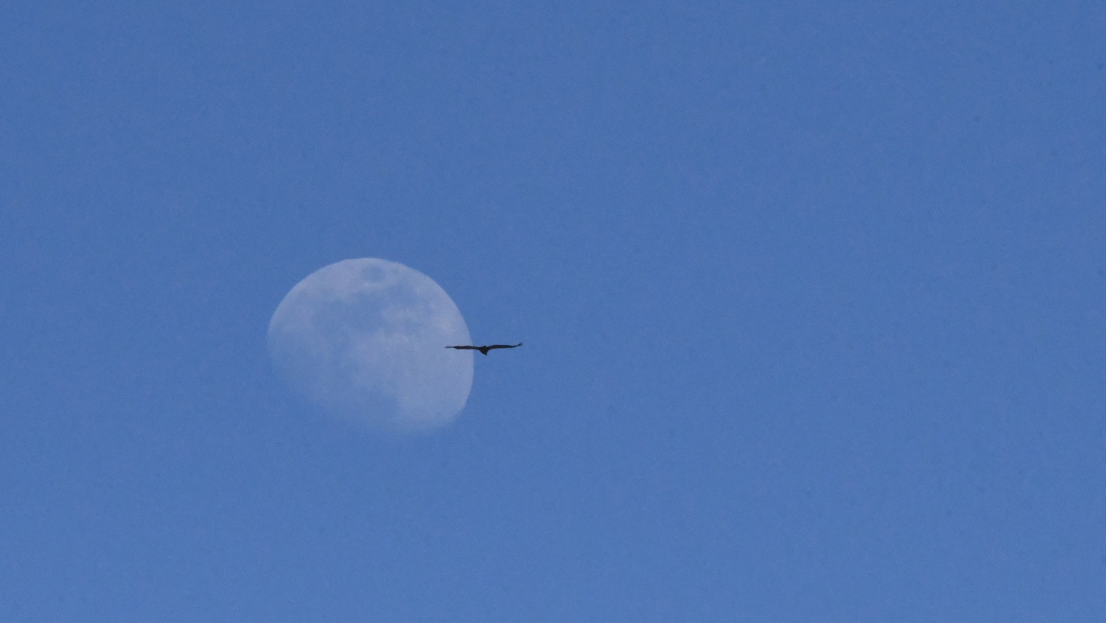 Ilargia Erriberan, Nafarroa