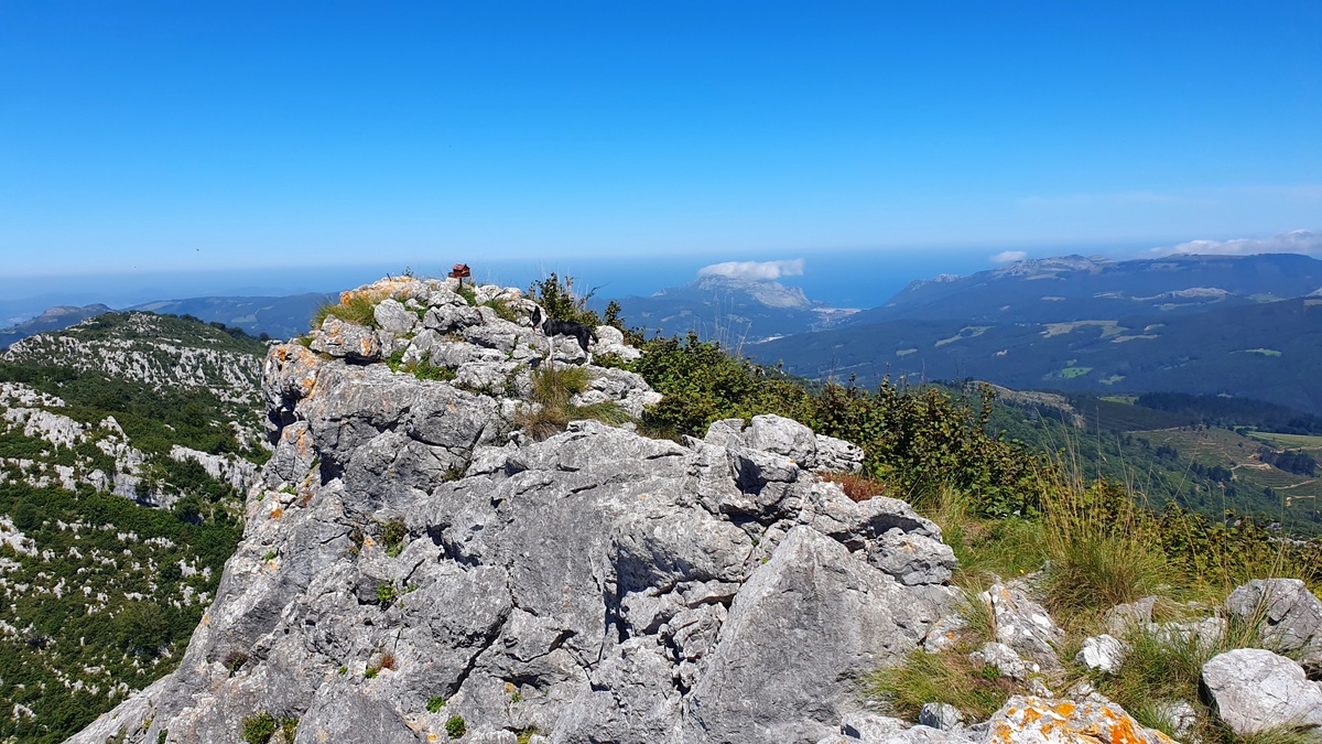 Jorrios (839 m), tontorra