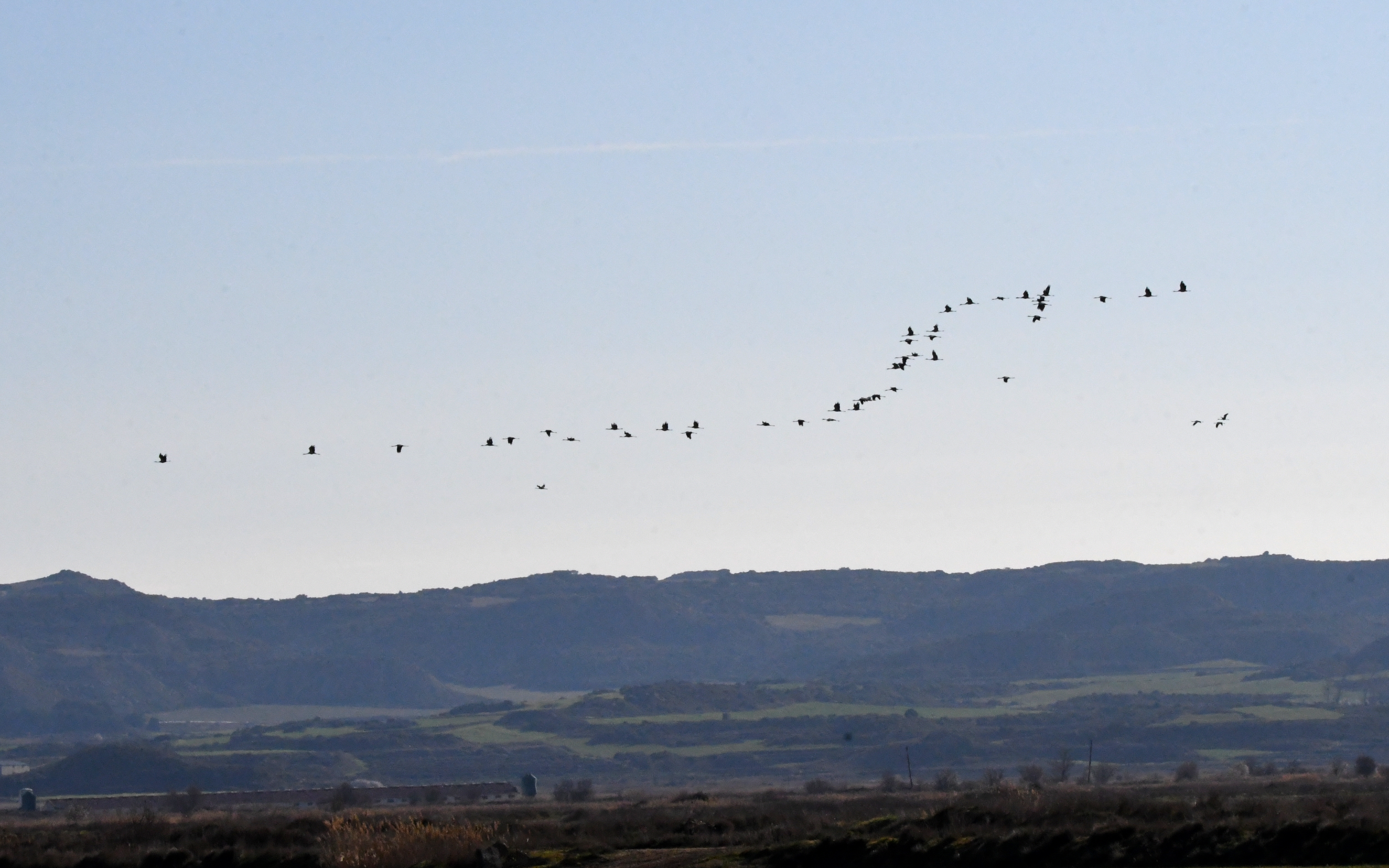 Kurriloak (Figarol, Nafarroa)