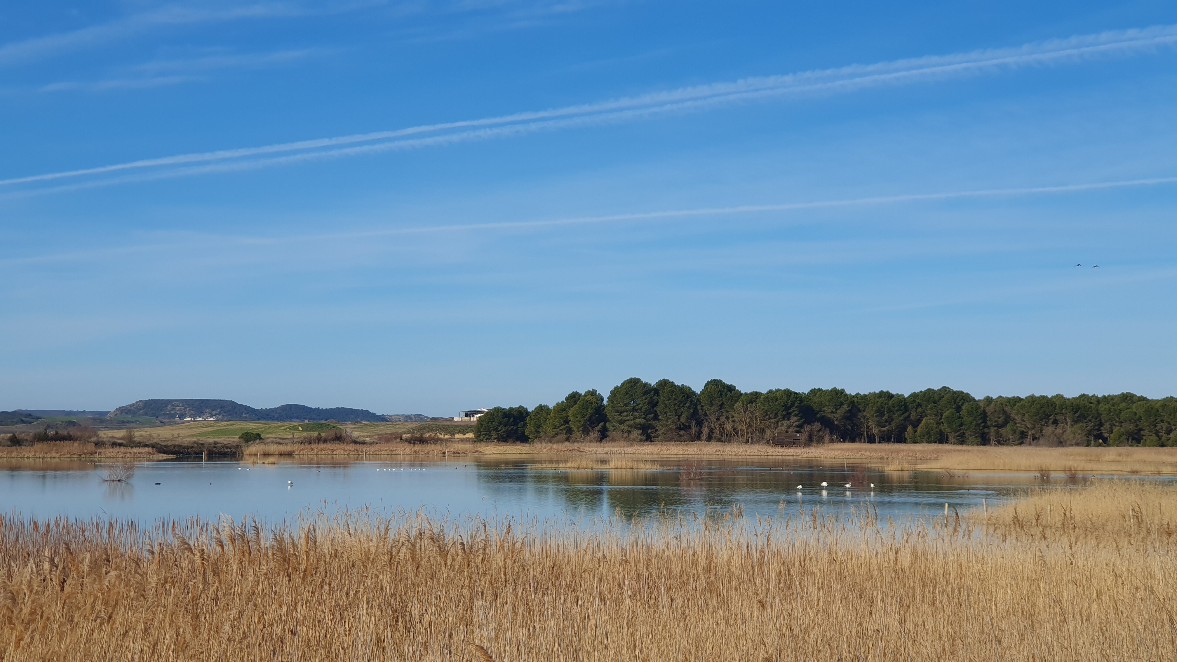 Laguna de Dos Reinos (Figarol, Nafarroa)
