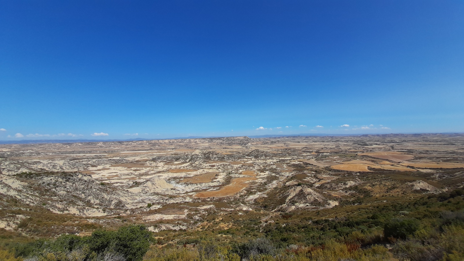 Landazuria (Bardeak, Nafarroako Erribera)