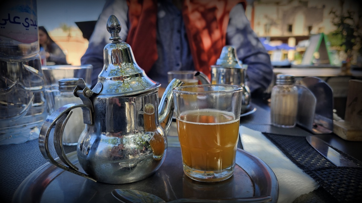 Maroko, bidaia ornitologikoa - 02