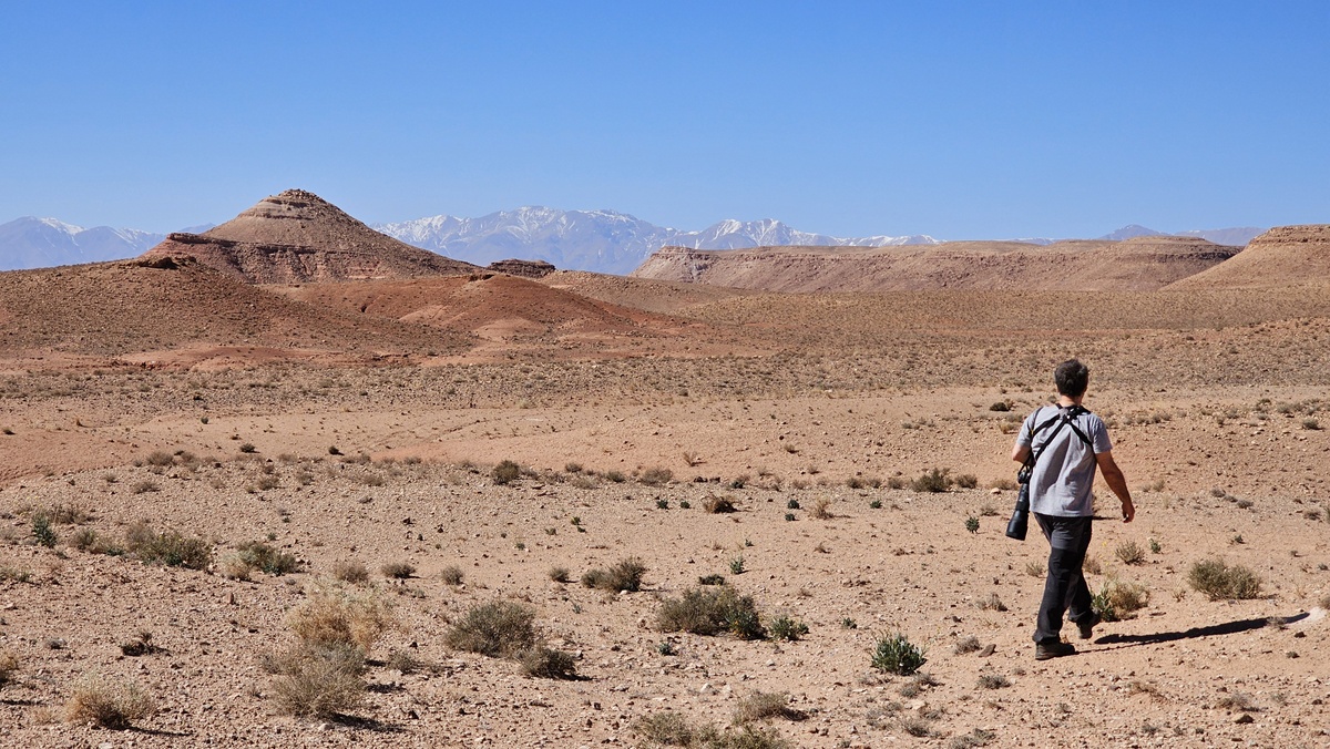 Maroko, bidaia ornitologikoa - 07