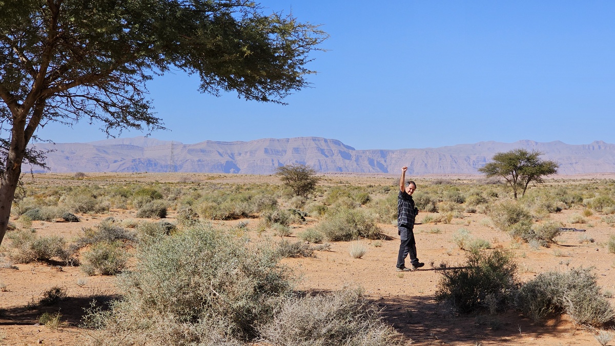 Maroko, bidaia ornitologikoa - 10