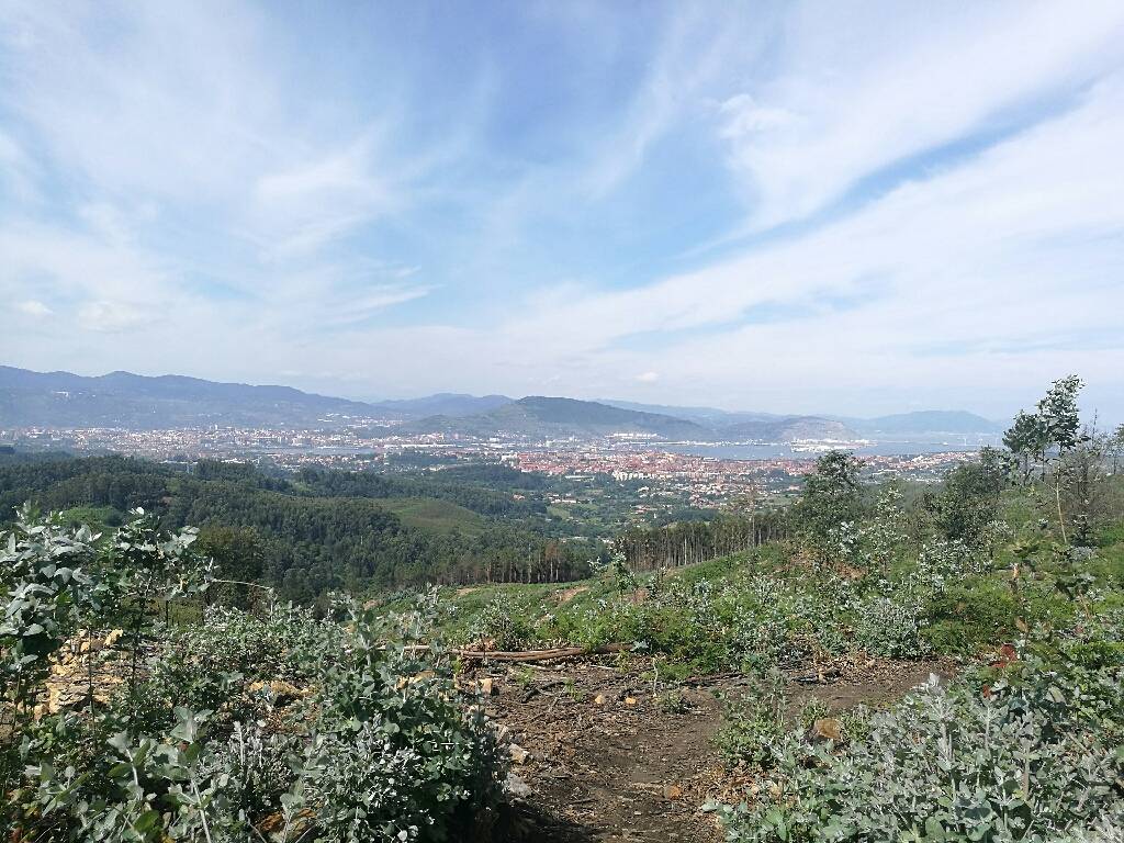 Munarrikolanda, Berango