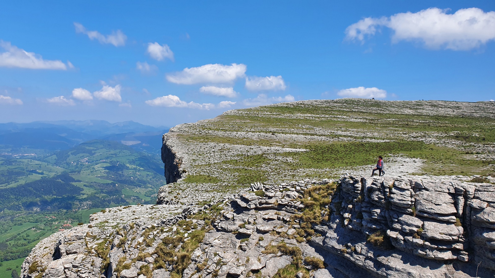 Peña Aro (Gorobel mendilerroa)