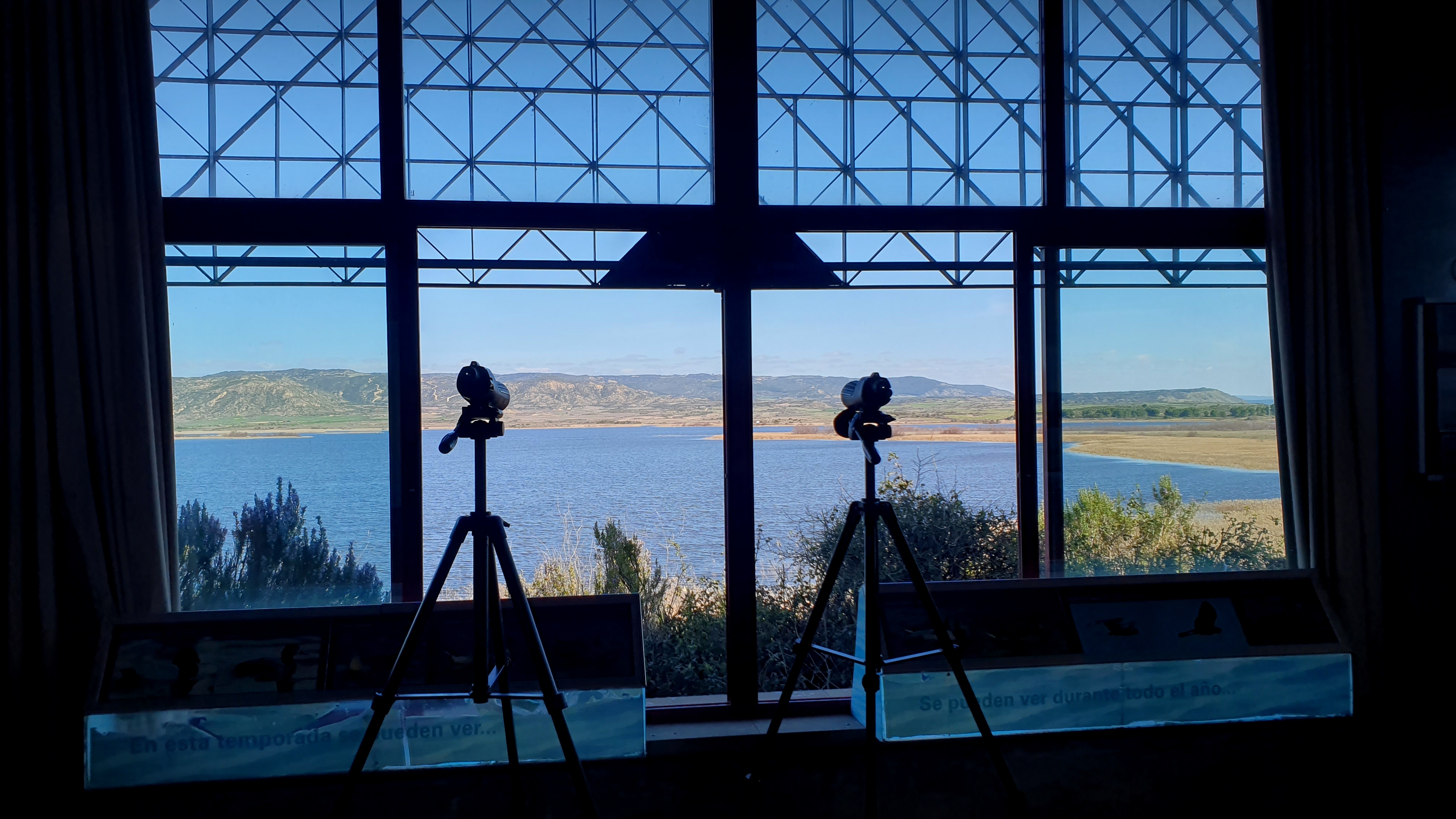 Pitillas urmaela (Nafarroa Garaia)