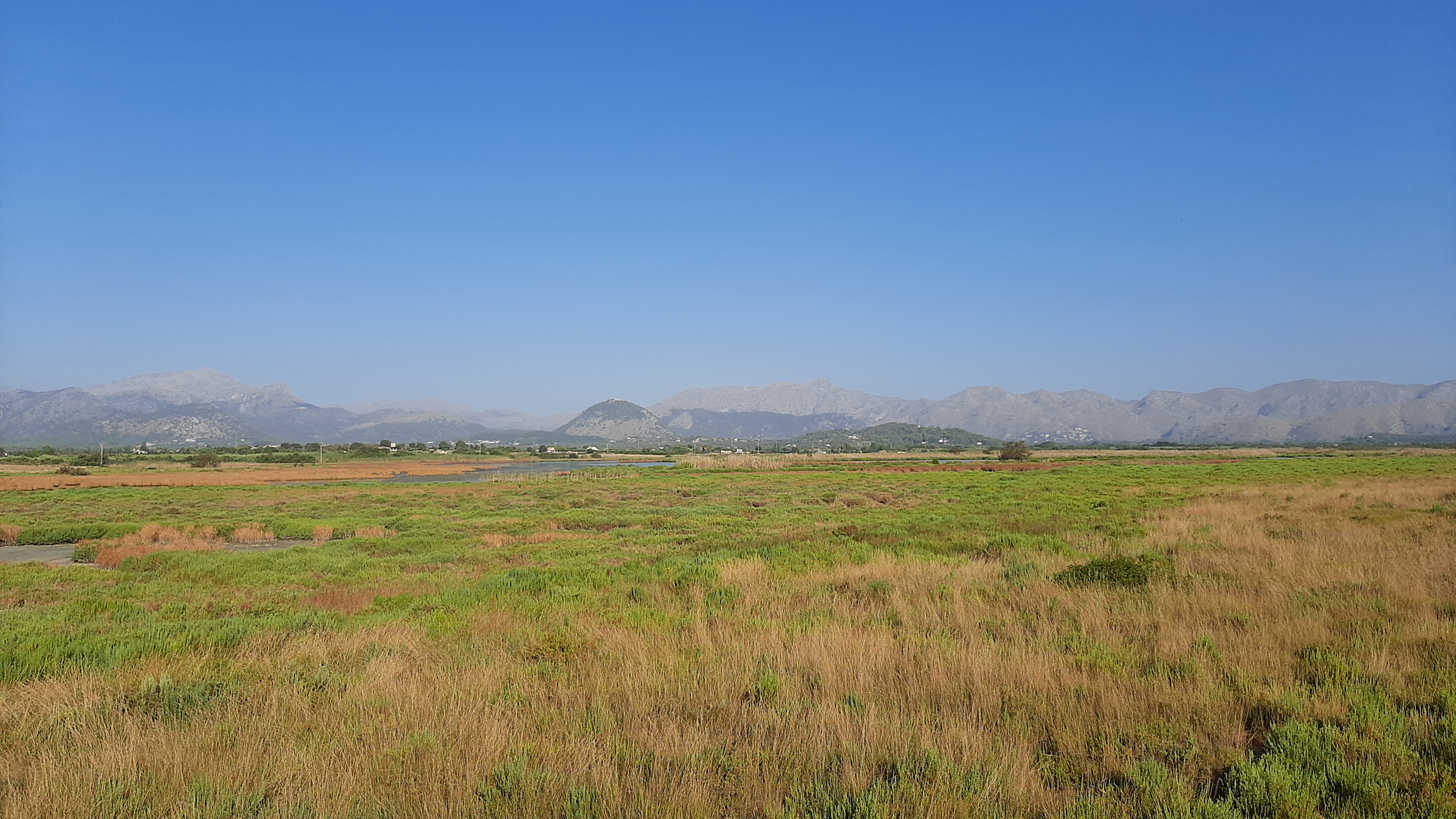 S'Albufereta (Mallorca) - 02