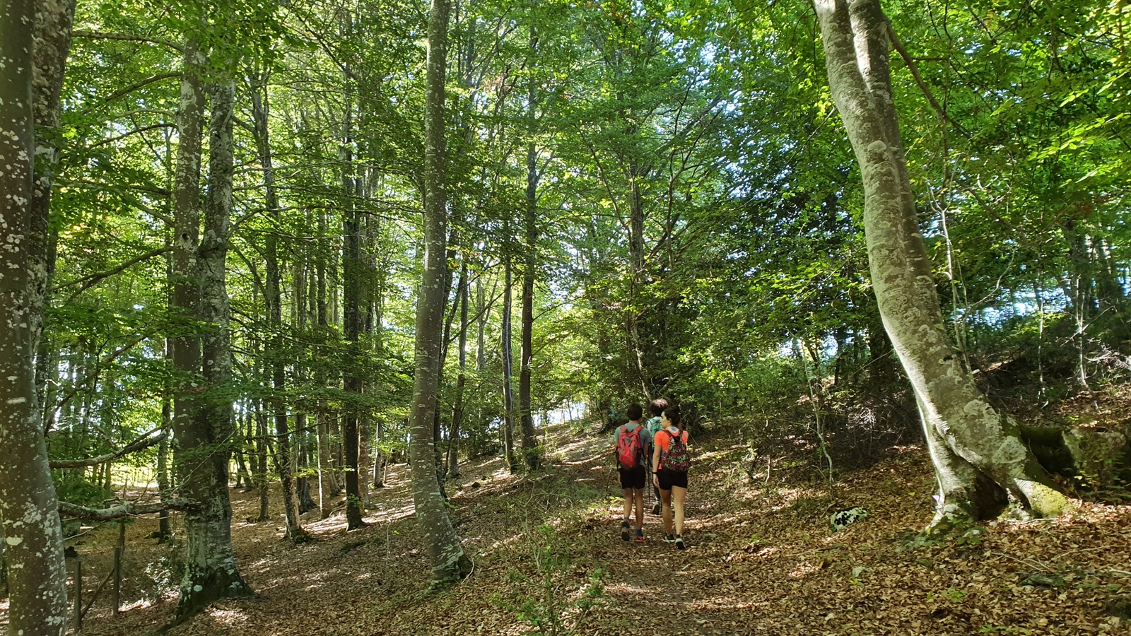 San Justi eta San Kristobal (Izki mendilerroa) - 07