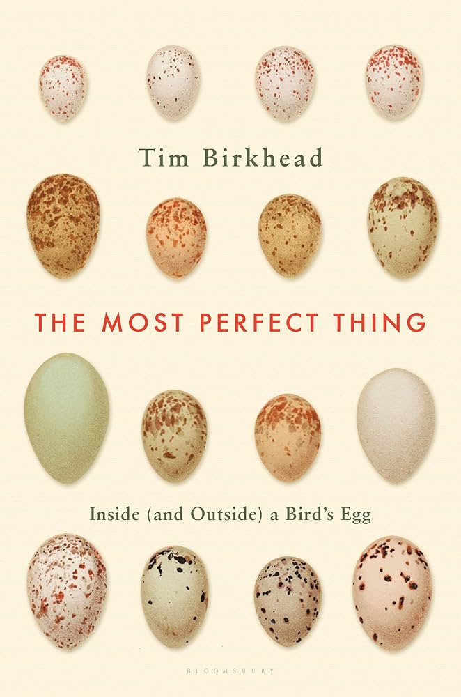 "The Most Perfect Thing", Tim Birkhead