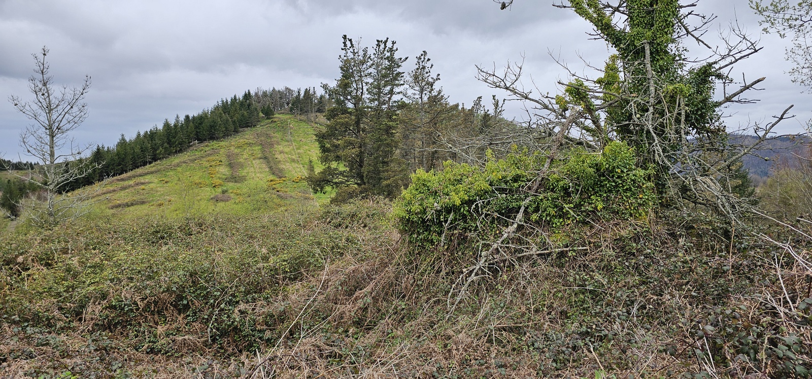 Eibarko sozialistek 1934an jasotako Tomas Meabe aterpetxearen hondarrak Kalamuan (Eibar, Elgoibar eta Markina Xemein artean). 