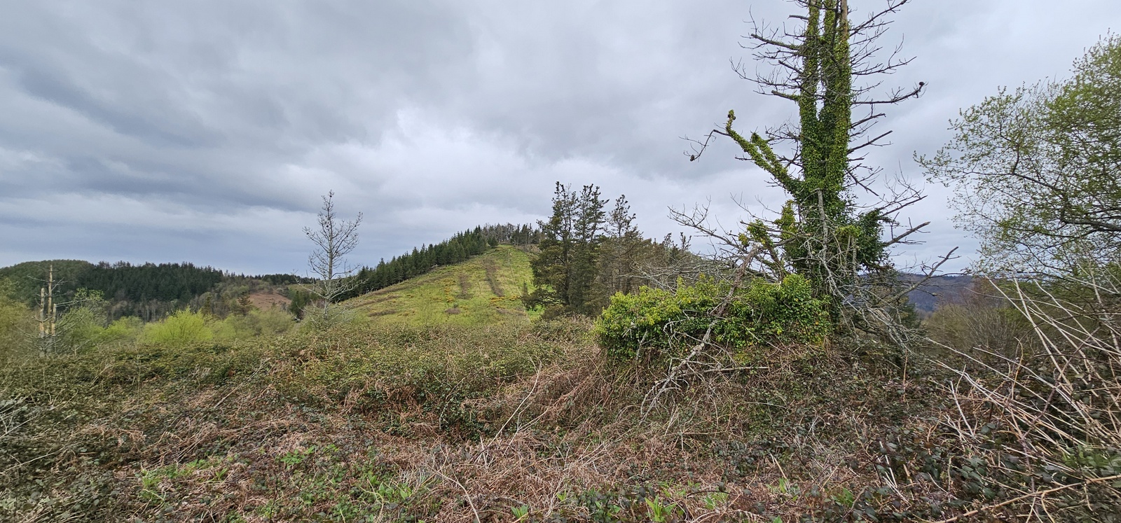 Eibarko sozialistek 1934an jasotako Tomas Meabe aterpetxearen hondarrak Kalamuan (Eibar, Elgoibar eta Markina Xemein artean). 