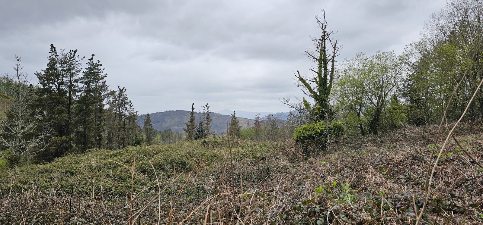 Eibarko sozialistek 1934an jasotako Tomas Meabe aterpetxearen hondarrak Kalamuan (Eibar, Elgoibar eta Markina Xemein artean). 