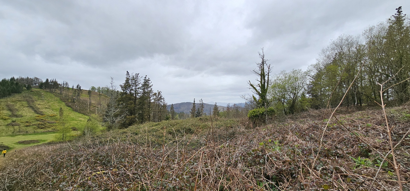 Eibarko sozialistek 1934an jasotako Tomas Meabe aterpetxearen hondarrak Kalamuan (Eibar, Elgoibar eta Markina Xemein artean). 